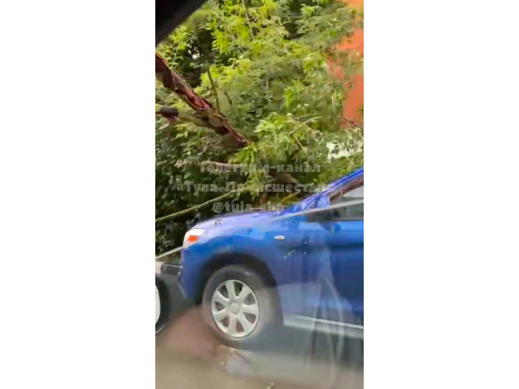 В Центральном районе Тулы на Mitsubishi рухнуло дерево