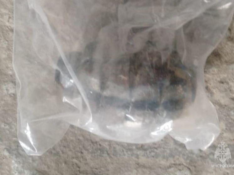 Калужские спасатели обезвредили метательное взрывчатое вещество с гранатой