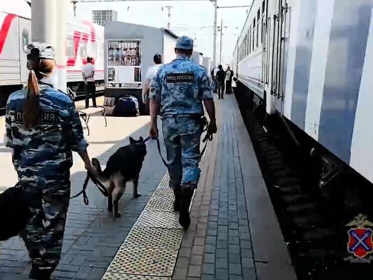 Волгоградские силовики проводят профилактическую операцию «Звезда Каспия»