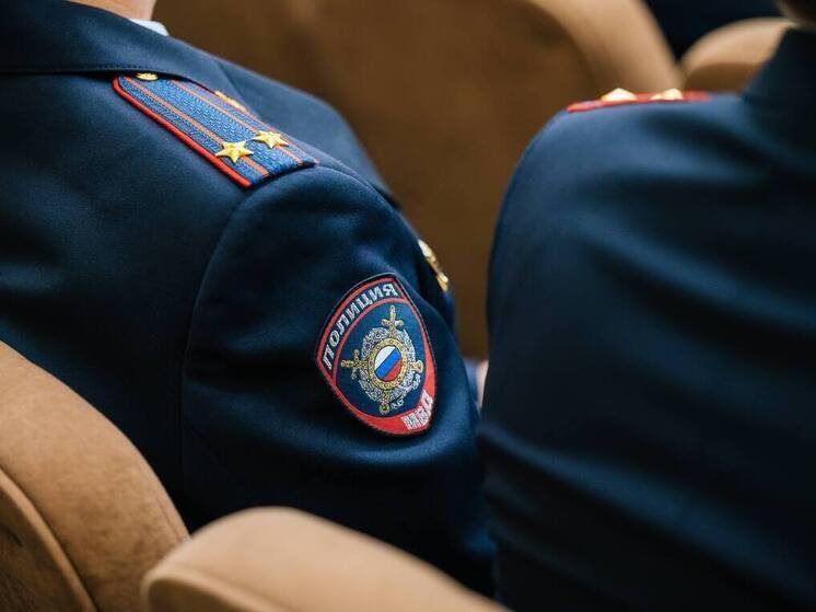 В Мурманской области появится знак отличия для полицейских