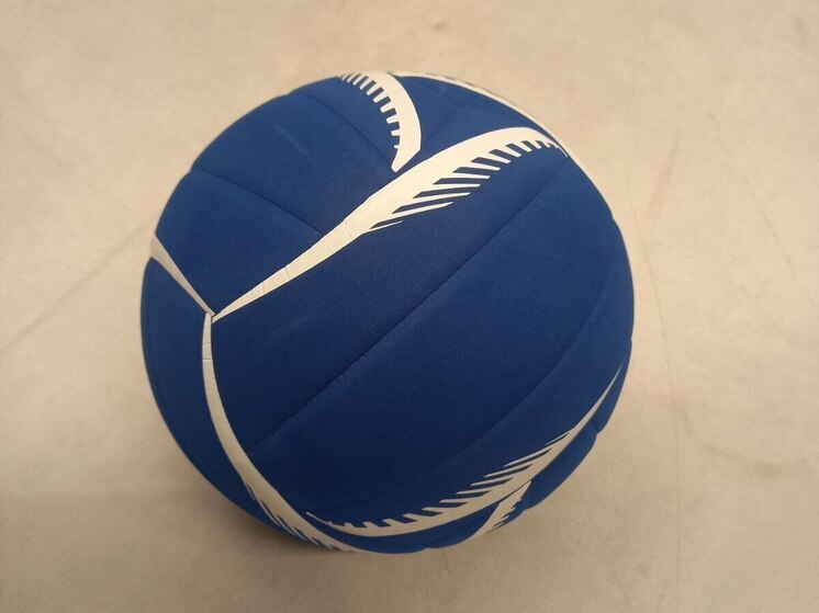 300 чеченских школьников приняли участие в фестивале «Зарядись энергией»