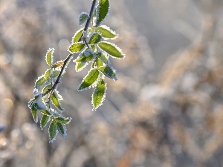 Заморозки продолжаются: 23 июля столбик термометра опустится ниже нуля