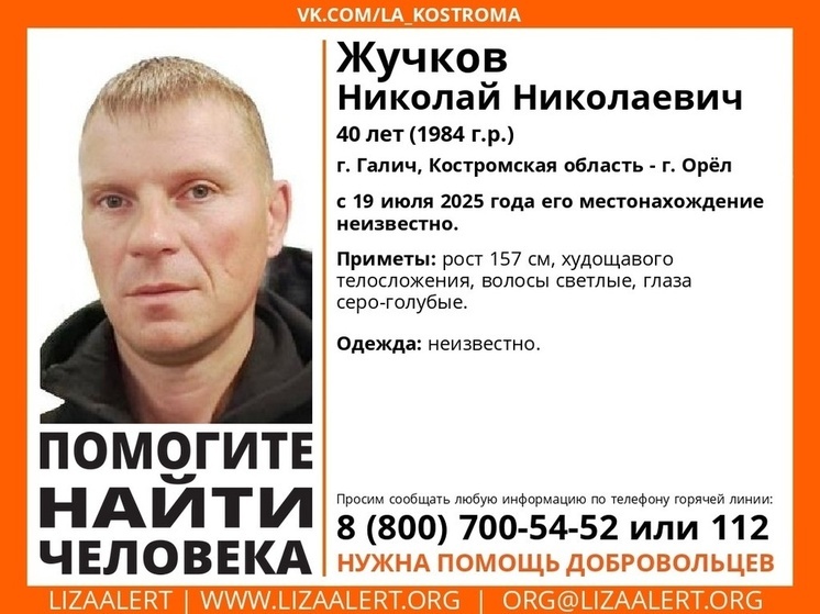 Развернулись поиски двух пропавших мужчин в Костромской области