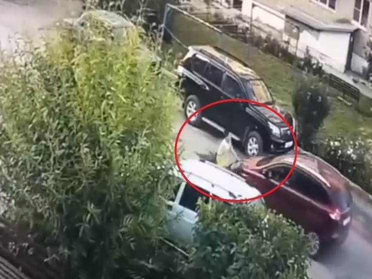 Автоледи сбила юного велосипедиста в Галиче