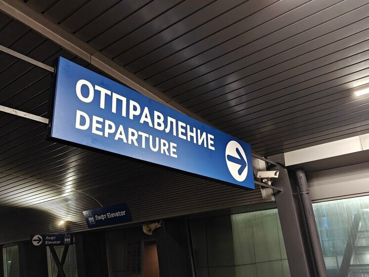 Аэропорты Москвы и «Пулково» отменили 517 рейсов за три дня
