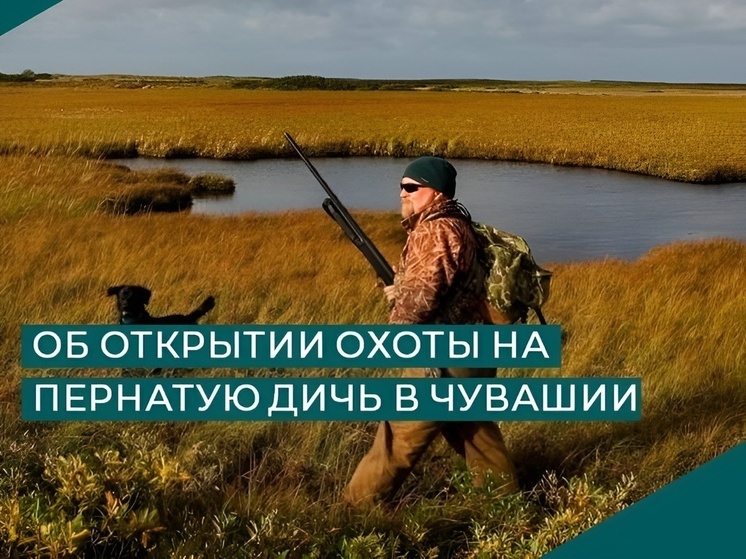В Чувашии назвали сроки летне-осенней охоты на пернатую дичь