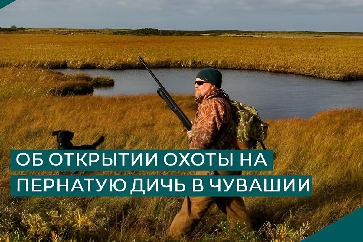 В Чувашии назвали сроки летне-осенней охоты на пернатую дичь