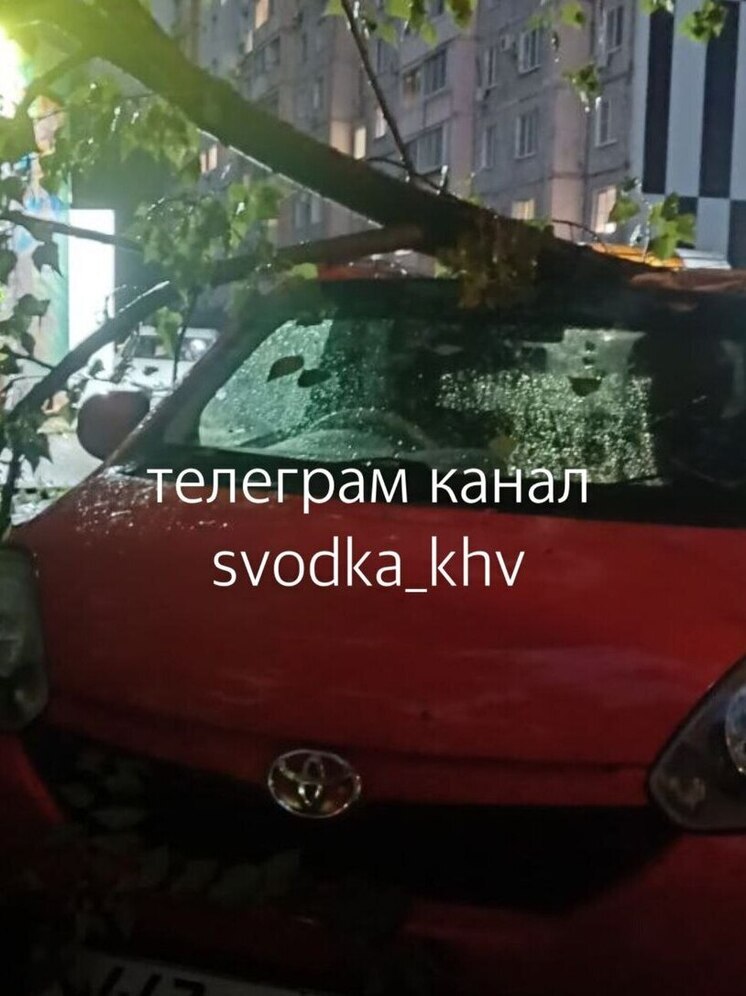 Сломанные светофоры и деревья: кадрами стихии делятся хабаровчане