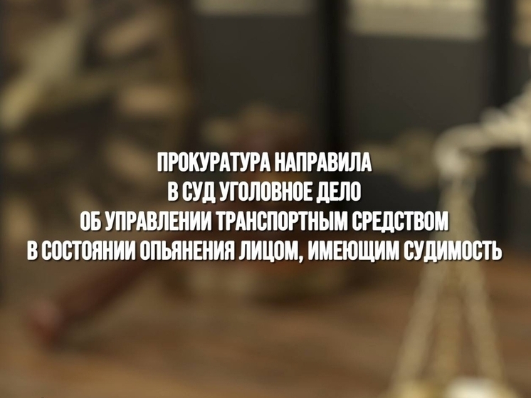 Житель Рославльского района предстанет перед судом за пьяную езду