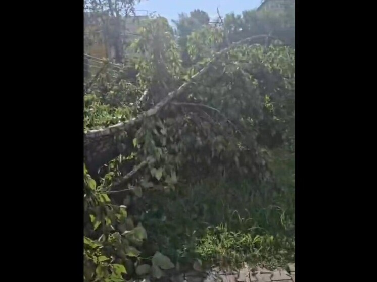 1506 объектов остаются без электричества после урагана в Хабаровске