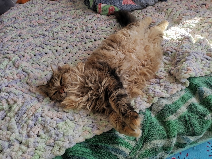 Стало известно, какая погода ожидается в Приморье в среду, 23 июля