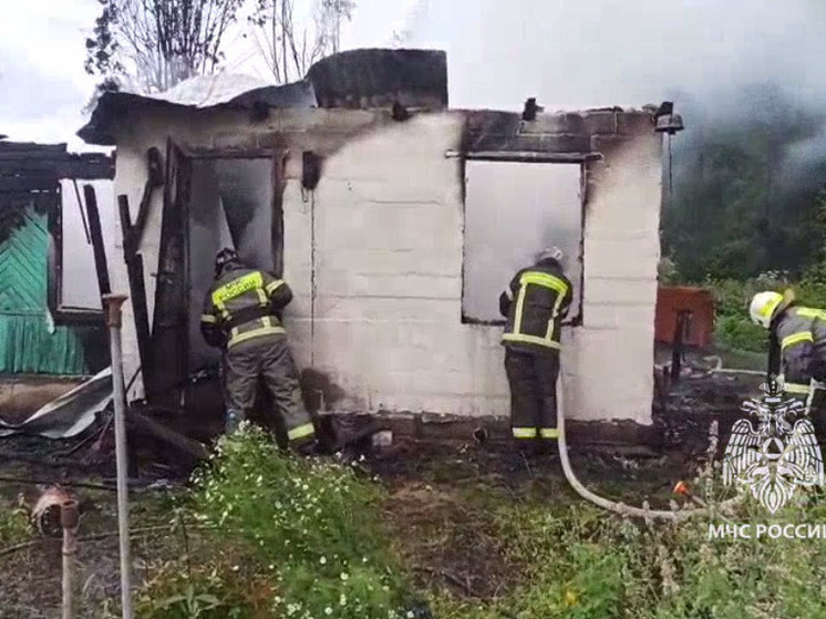 В Красноярском крае за сутки потушили 14 пожаров