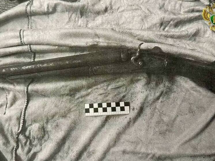 Житель Хабаровска осужден за хранение оружия и взрывных устройств