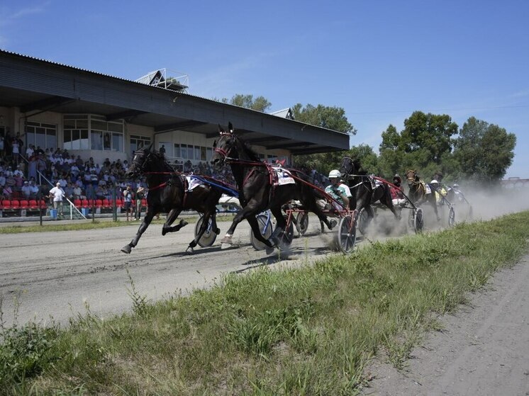 Академик РАЕН оценил возможности хакасского ипподрома