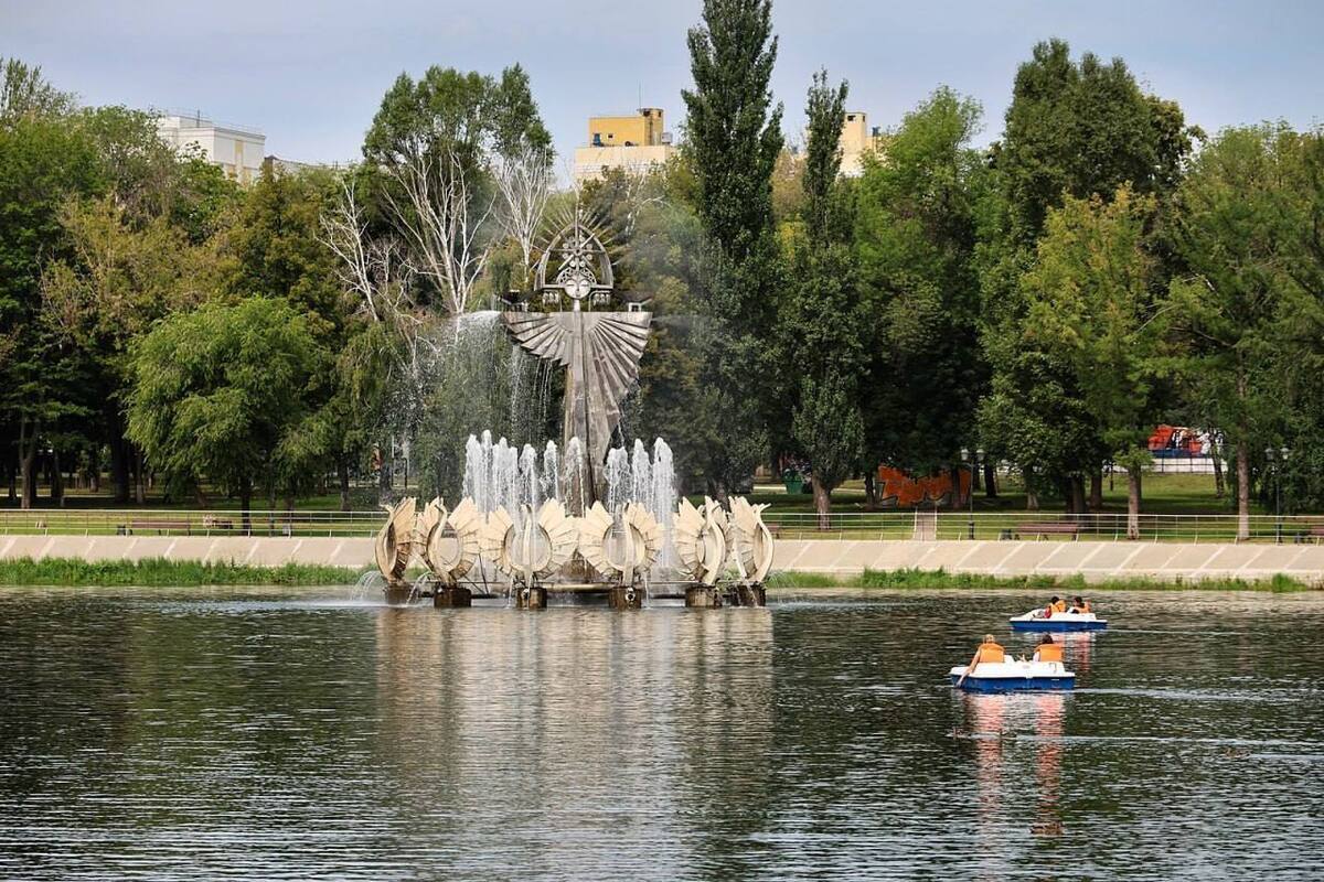 В Самаре в Парке металлургов запустили прокат катамаранов  и завезли лебедей