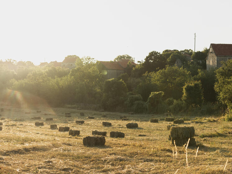 Калужскую область похвалили за контроль над землёй