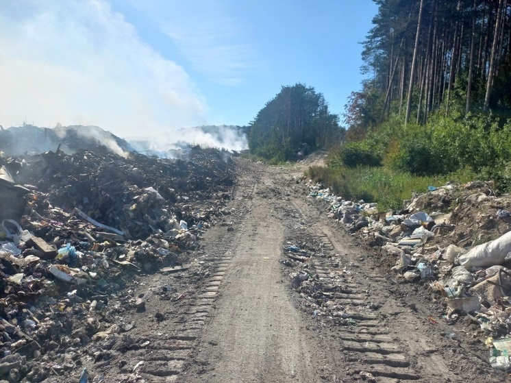 Пожар на мусорной свалке в Медвежьегорске локализован