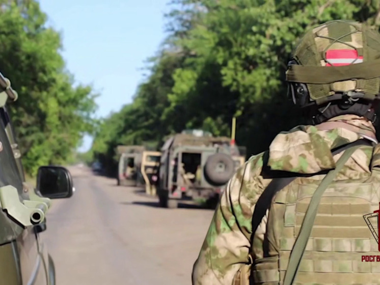 В ДНР росгвардейцы предотвратили подрыв объекта дорожной инфраструктуры