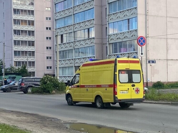 Жительница Санкт-Петербурга выстрелила в жительницу Карелии и ее детей