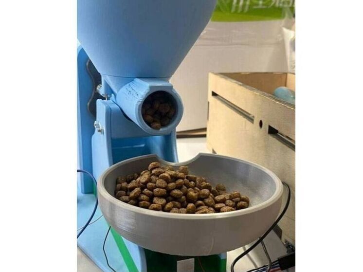 Смоляне приняли участие во всероссийском конкурсе «ШУСТРИК»