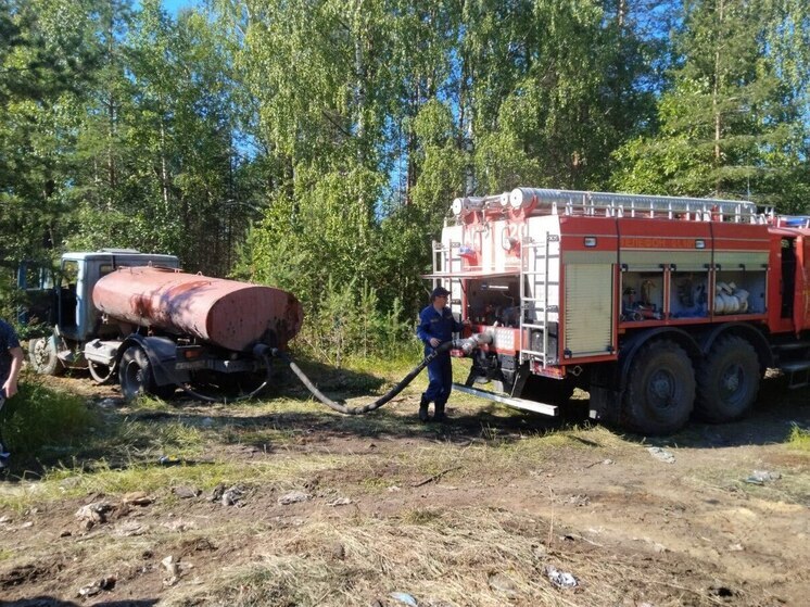 Пожарные ликвидировали пожар на свалке недалеко от Калевалы