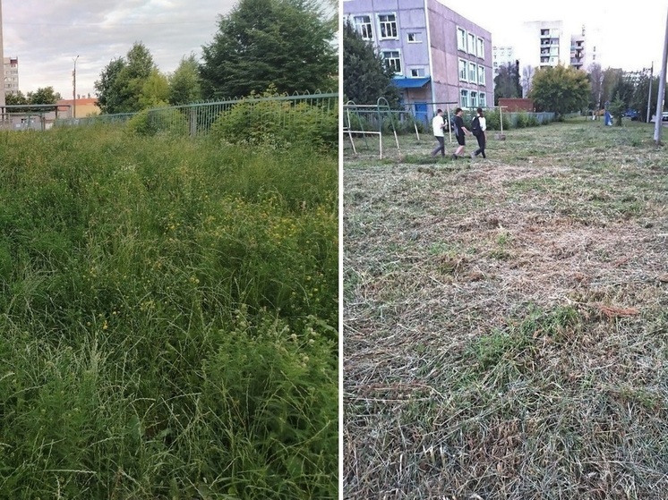 Пользователи соцсетей заказывают «стрижку» травы