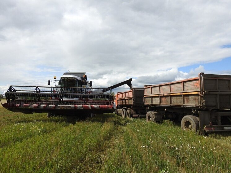 На полях Томской области стартовала уборочная кампания