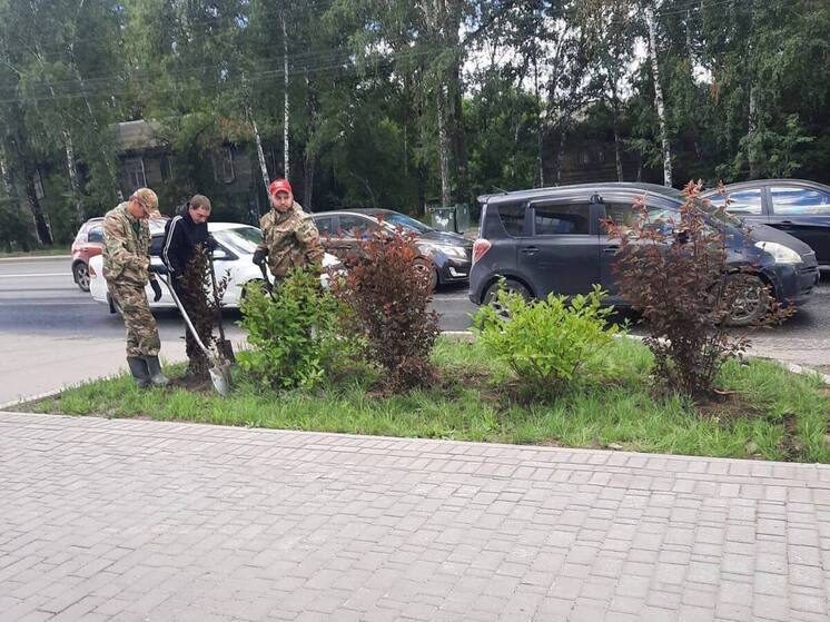 Повторное озеленение территорий проходит в Томске