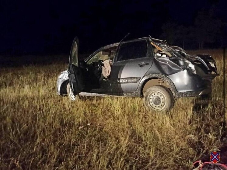 В Волгоградской области «Лада» вылетела в кювет, пострадал водитель