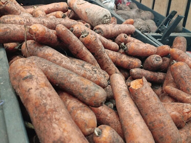 Морковь оказалась самым подорожавшим продуктом в июне в Калининградской области