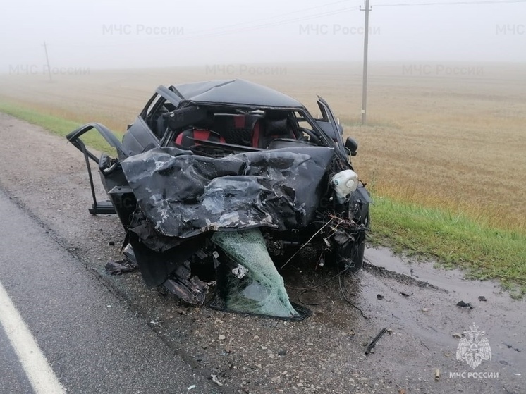 В Мещовском районе сшиблись «ВАЗ» и Kia