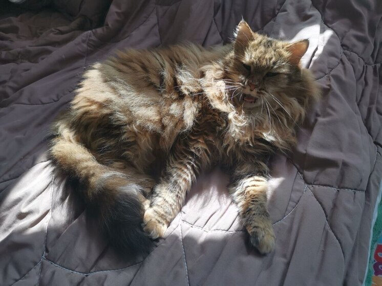 Атмосферные фронты принесут грозы и туман: Приморье готовится к неустойчивым выходным