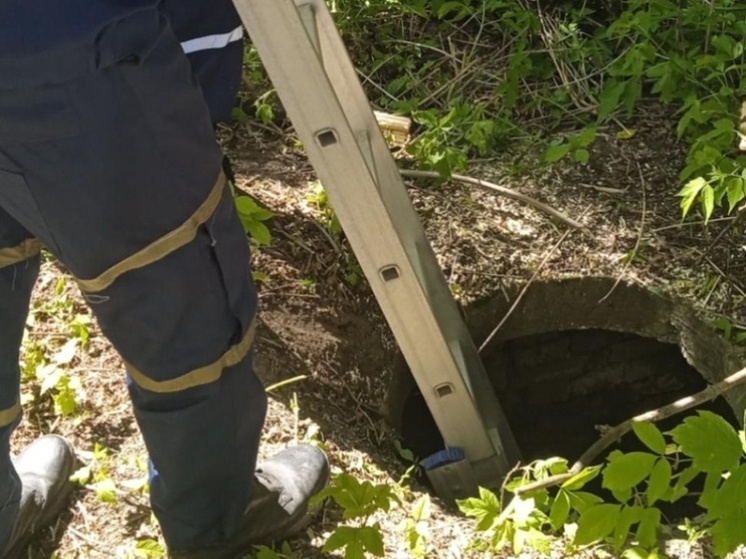 В Пензе спасатели достали собаку из колодца