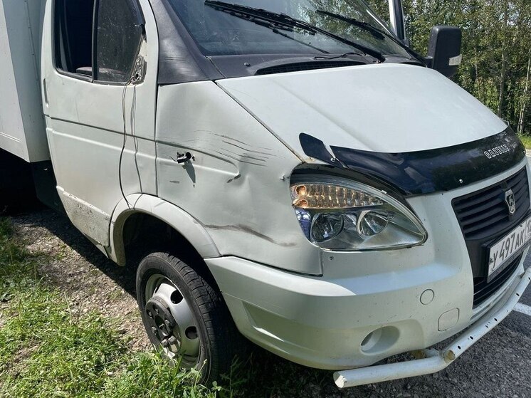 Жительница Моркинского района сбила велосипедистку и сбежала