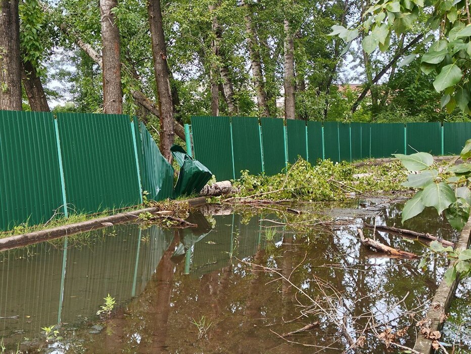 Дерево, перегородившее дорогу