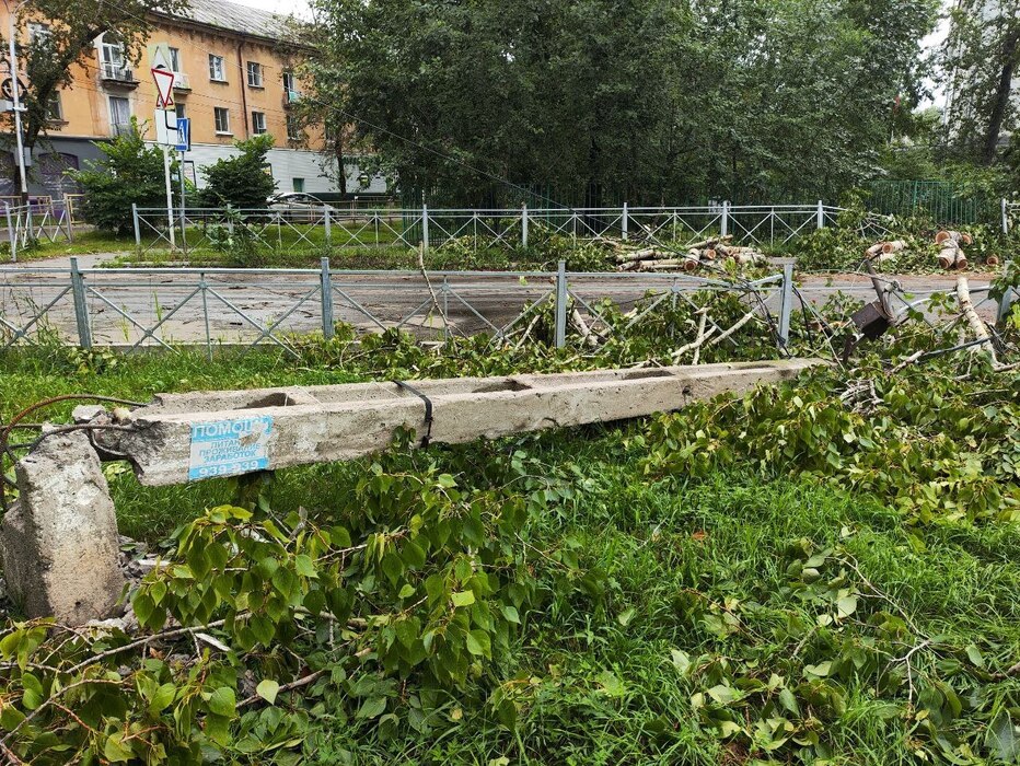 Упавшие деревья на тротуарах