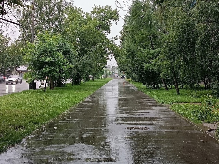 Дожди в Тамбове на время прекратятся к пятнице