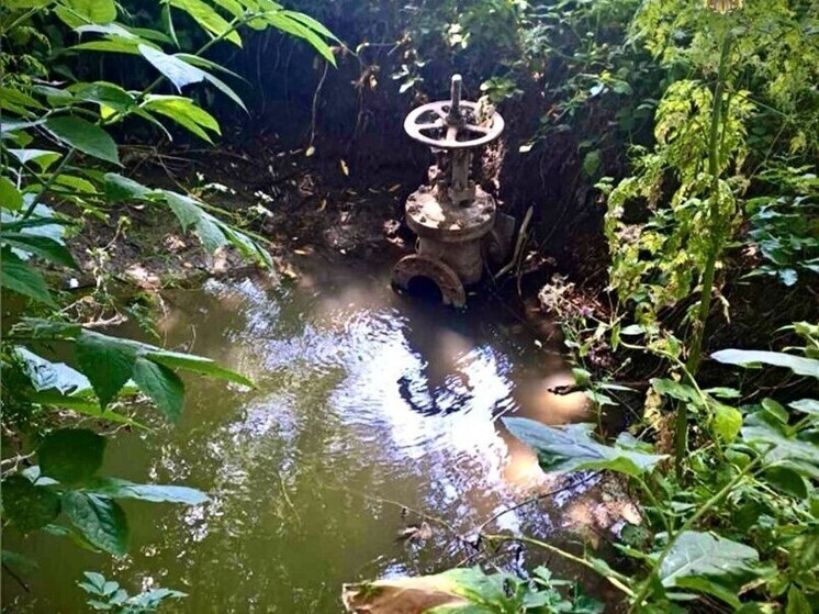 В Предгорном округе возбудили дело о причинении ущерба окружающей среде