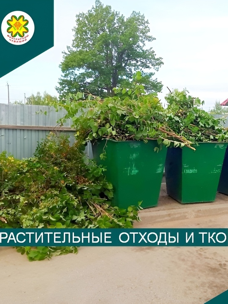 С 1 сентября вступают в силу новые правила обращения с ТКО: что важно знать