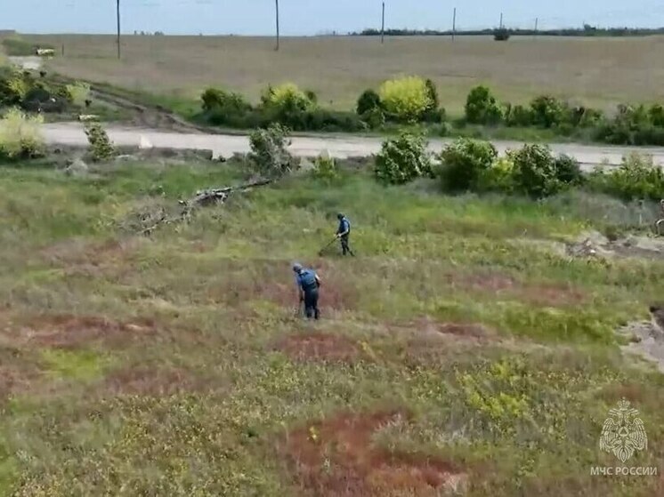 В освобожденном Степном Кураховского округа восстанавливают электроснабжение