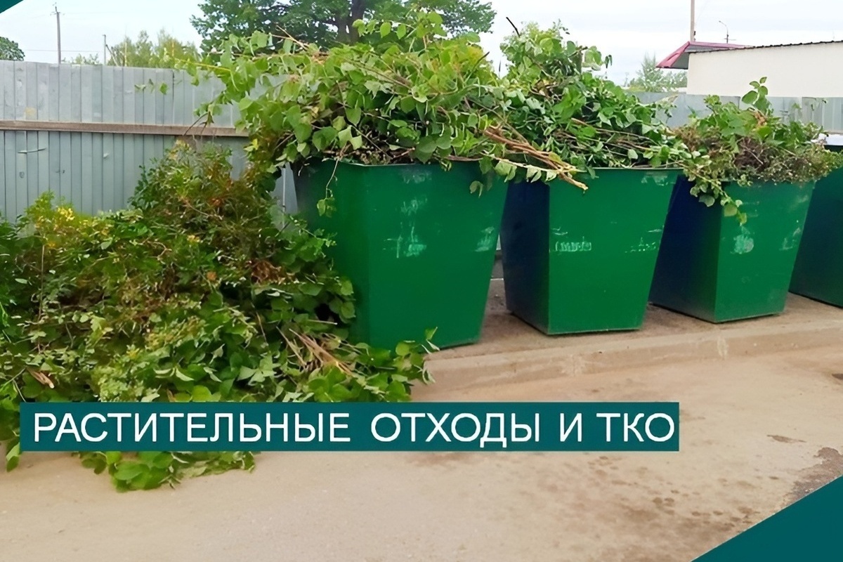 С 1 сентября вступают в силу новые правила обращения с ТКО: что важно знать