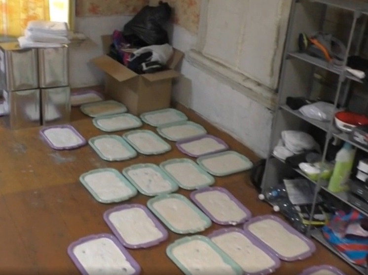  В Марий Эл ликвидировали нарколабораторию с запасами синтетики более 8 кг