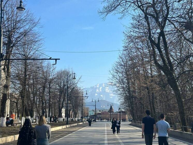 Сергей Меняйло: более 30 млн руб. заработали самозанятые на поставках для госкомпаний