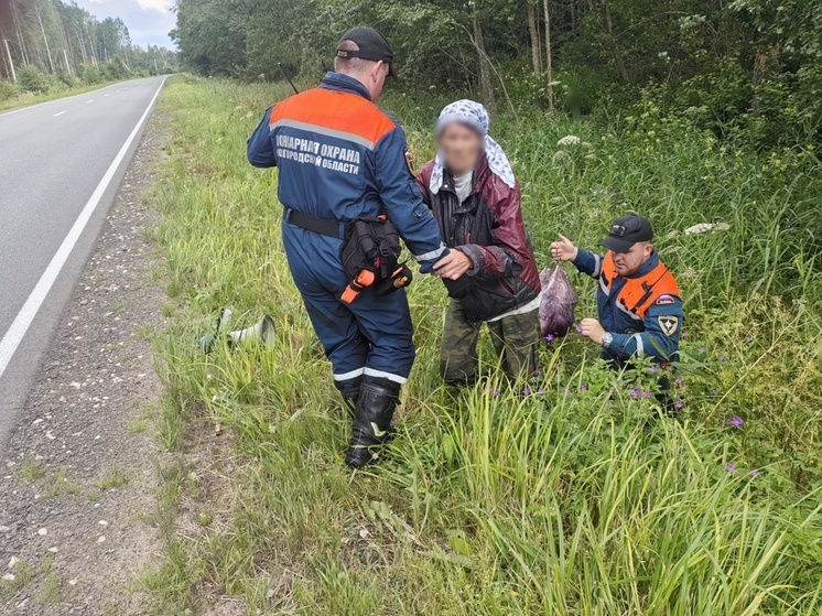 Маловишерские спасатели вывели из леса заблудившуюся женщину