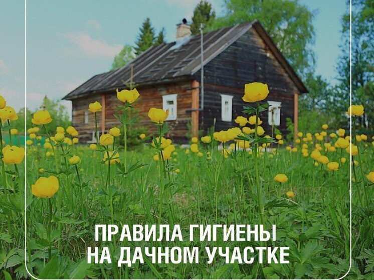 Как псковичам сохранить гигиеническую безопасность на даче