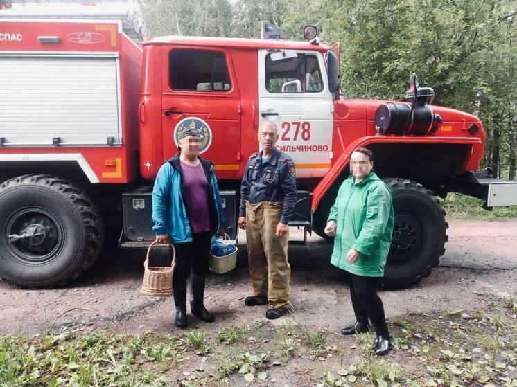 Три операции по спасению заблудившихся грибников прошли в один день в Подмосковье