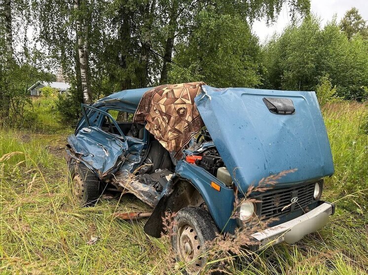 В Шуйском районе в лобовом ДТП с лесовозом разбился водитель «Нивы»