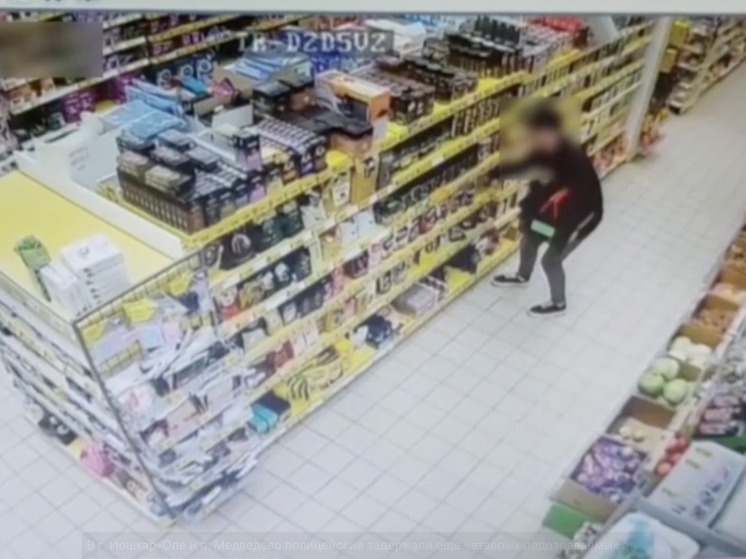В Марий Эл задержаны четверо подозреваемых в краже товаров из магазинов