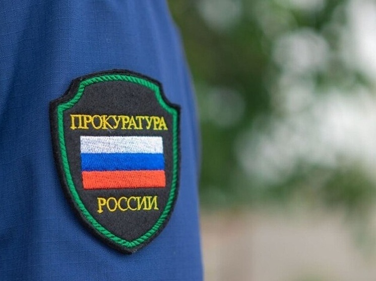 Заведующей детским садом в Малой Белозерке грозит до 6 лет тюрьмы за мошенничество