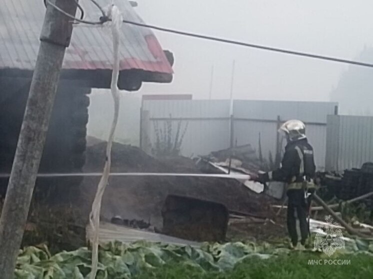Пожар в Медведевском районе уничтожил курятник в одном из хозяйств